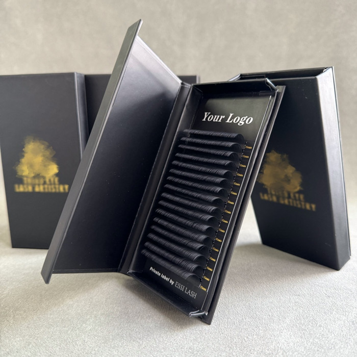 Customized Luxury Cardboard Box Package for Eyelash Extensions with Private Labels